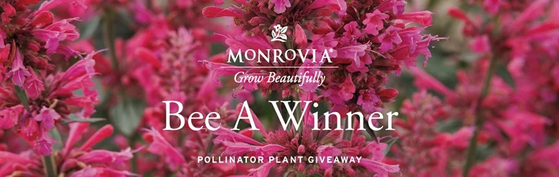 Monrovia Pollinator Plant Giveaway Banner